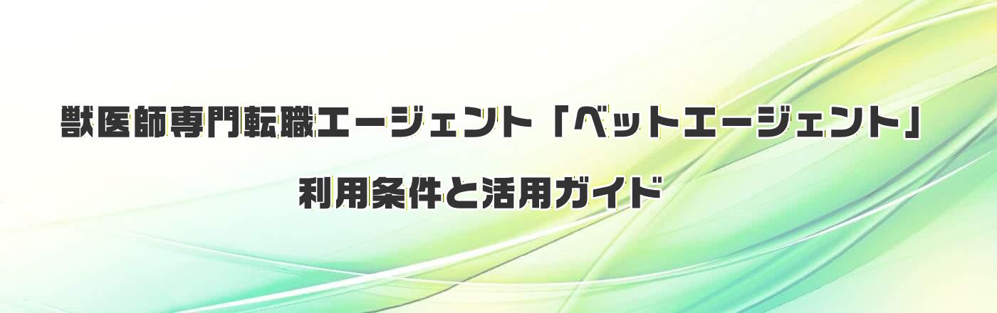 bt]EG[WFguxbgG[WFgvpƊpKCh